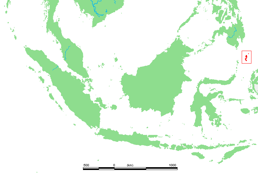 Talaud Bush-hen