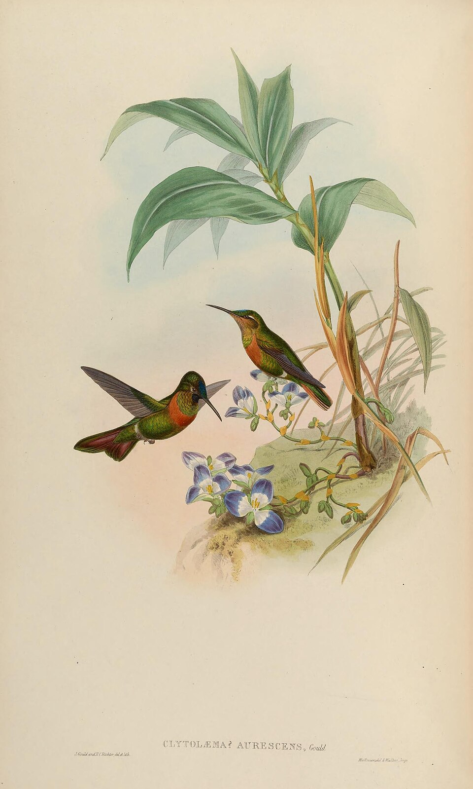 Gould's Jewelfront