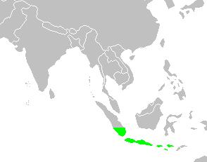 Javan Munia