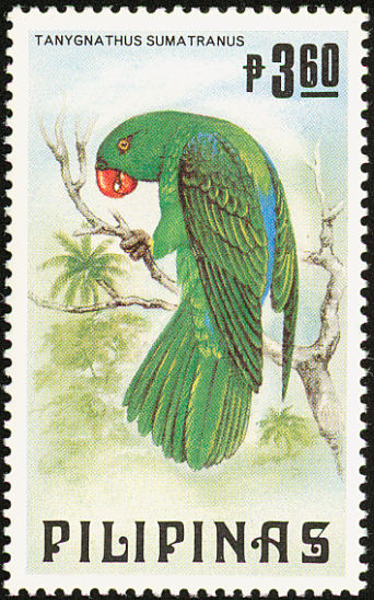 Blue-backed Parrot