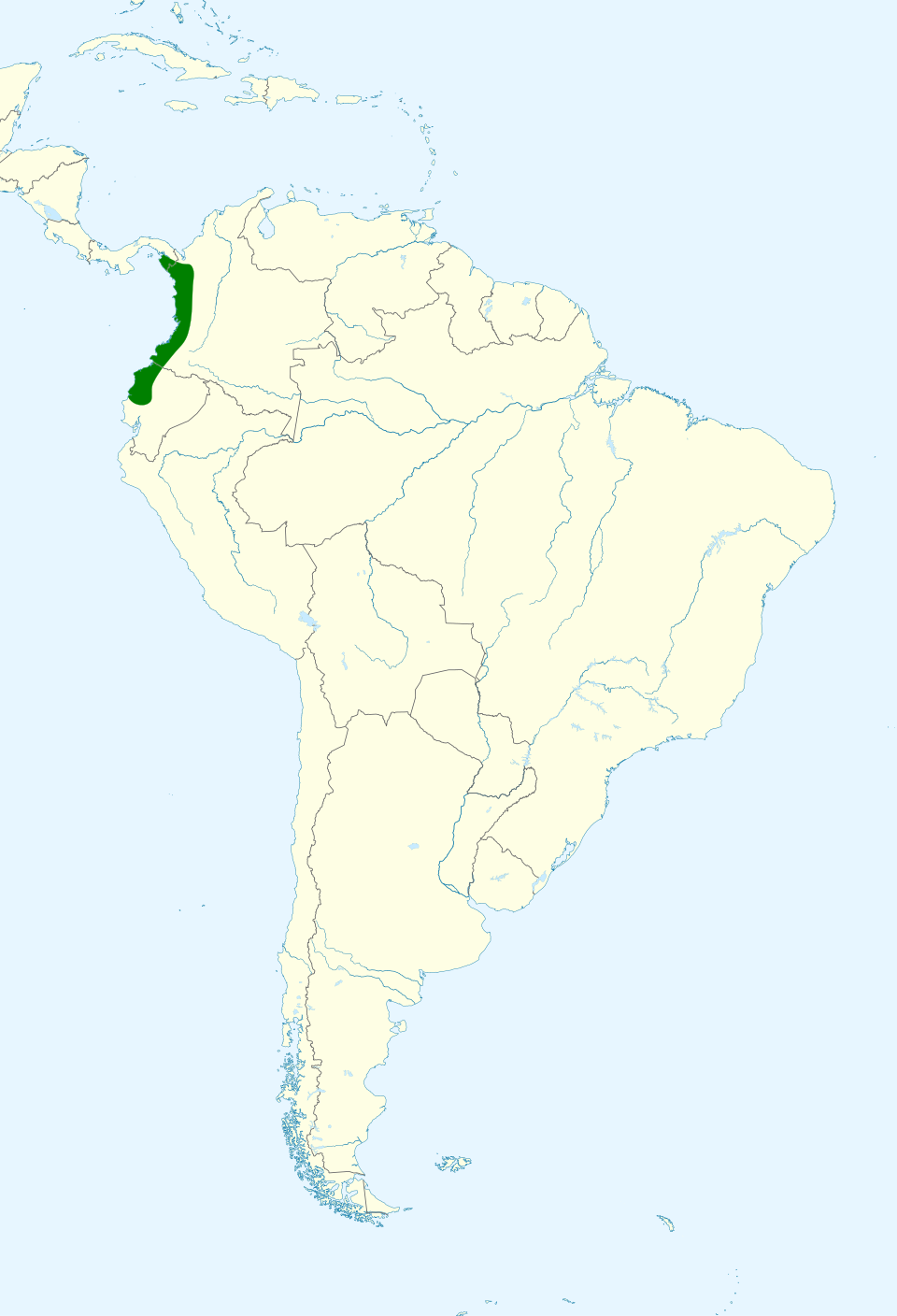 Dagua Thrush