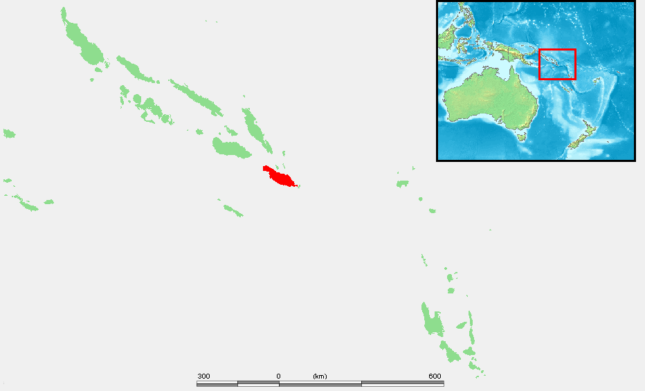 Makira Thrush